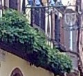 Vini - Riquewihr