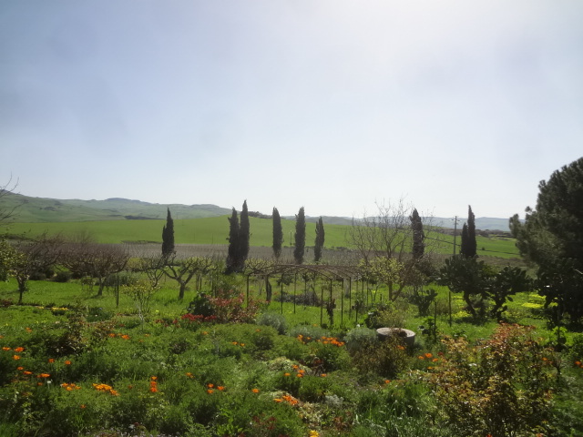 Le potager © GP