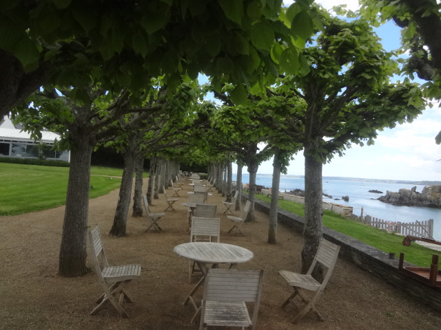 Allée d'arbres face à la plage © GP