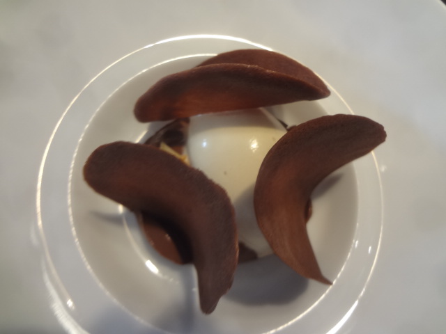 Chocolat intense et glacé café © GP