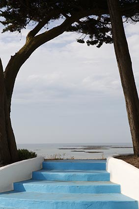 Vue sur la mer © Maurice Rougemont