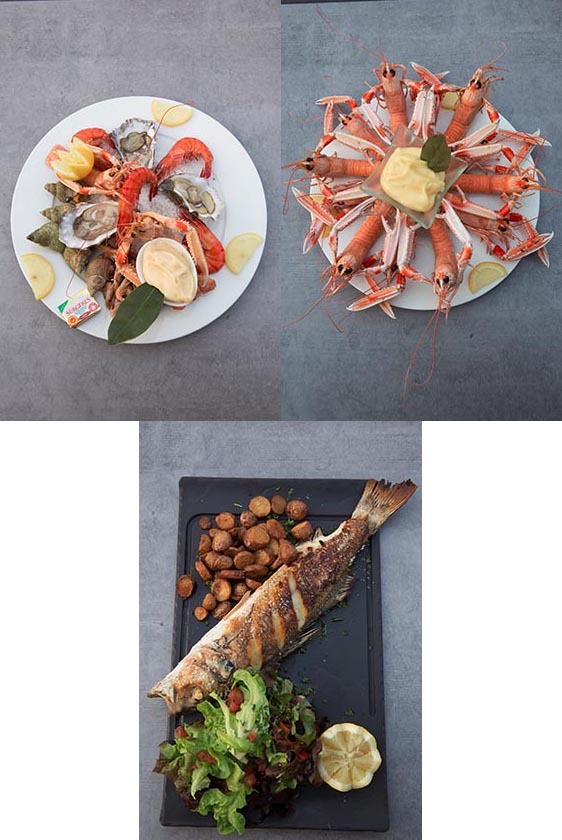 Langoustines et bar © Maurice Rougemont