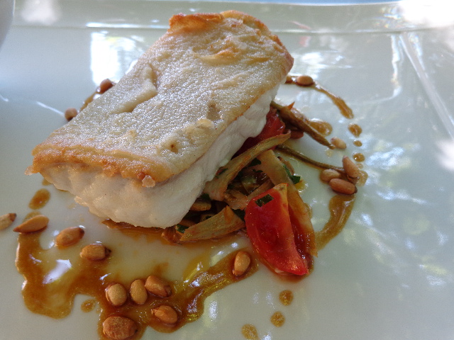 Turbot © GP