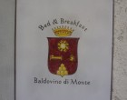 Baldovino di Monte - Monte San Savino
