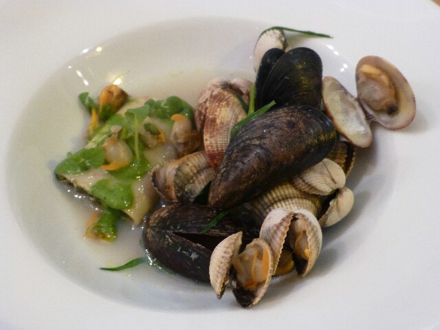 Coquillages © DC