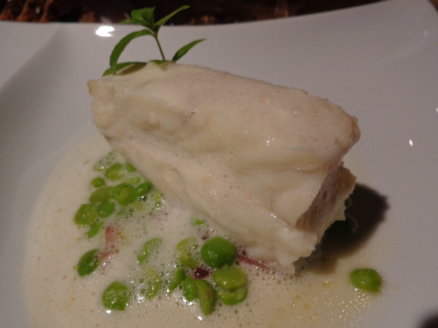 Turbot © GP