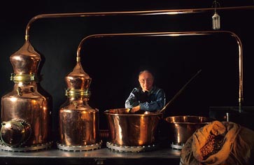 Noyau de Poissy  © Maurice Rougemont