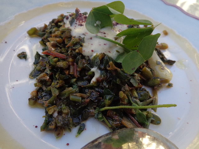 Salade de pourpier © GP