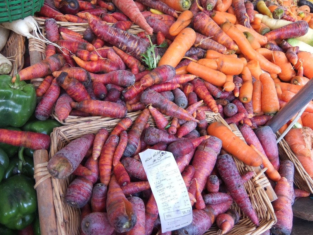 Carottes mauves et oranges © GP