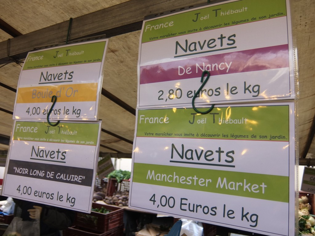 Les diverses variétés de navets © GP