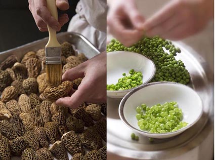 Brossage des morilles, écossage des petits pois © Maurice Rougemont