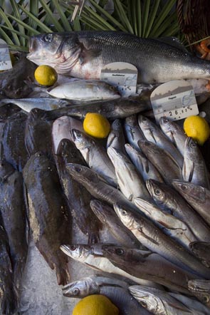 Sardines © Maurice Rougemont