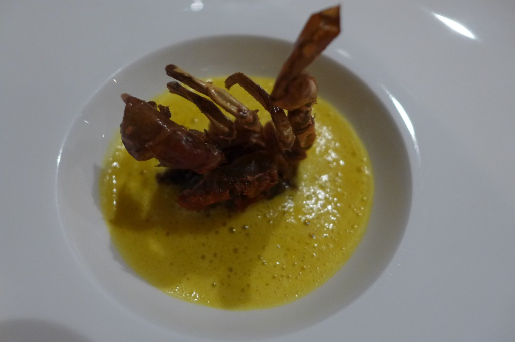 Crabe mou © GP