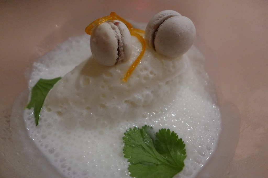 Macaron et lait ribot © GP