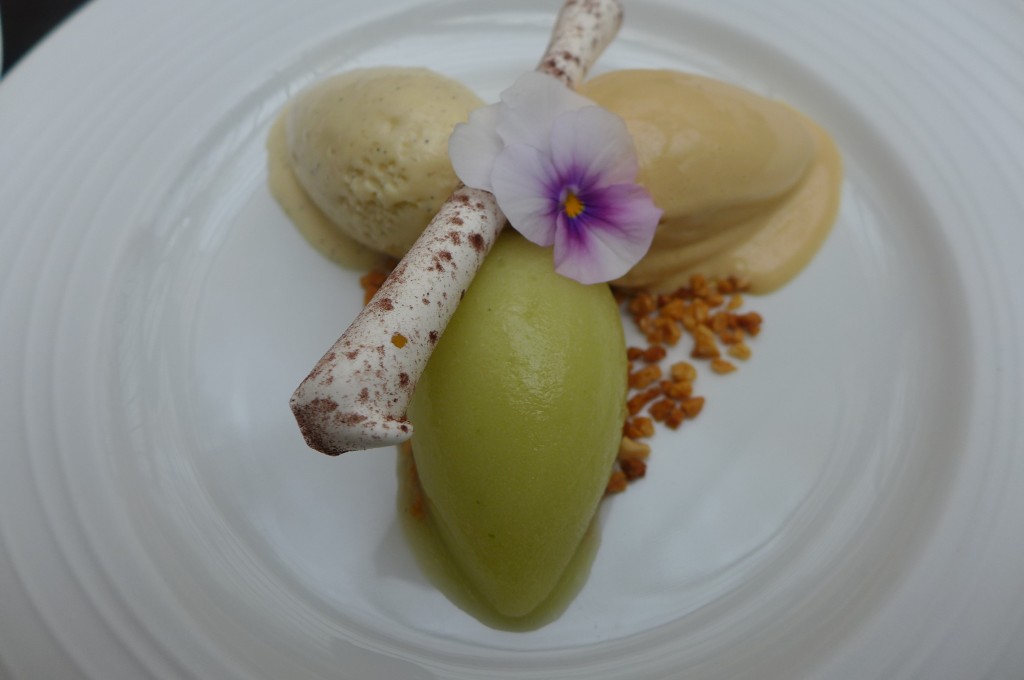 Glaces et sorbet © GP