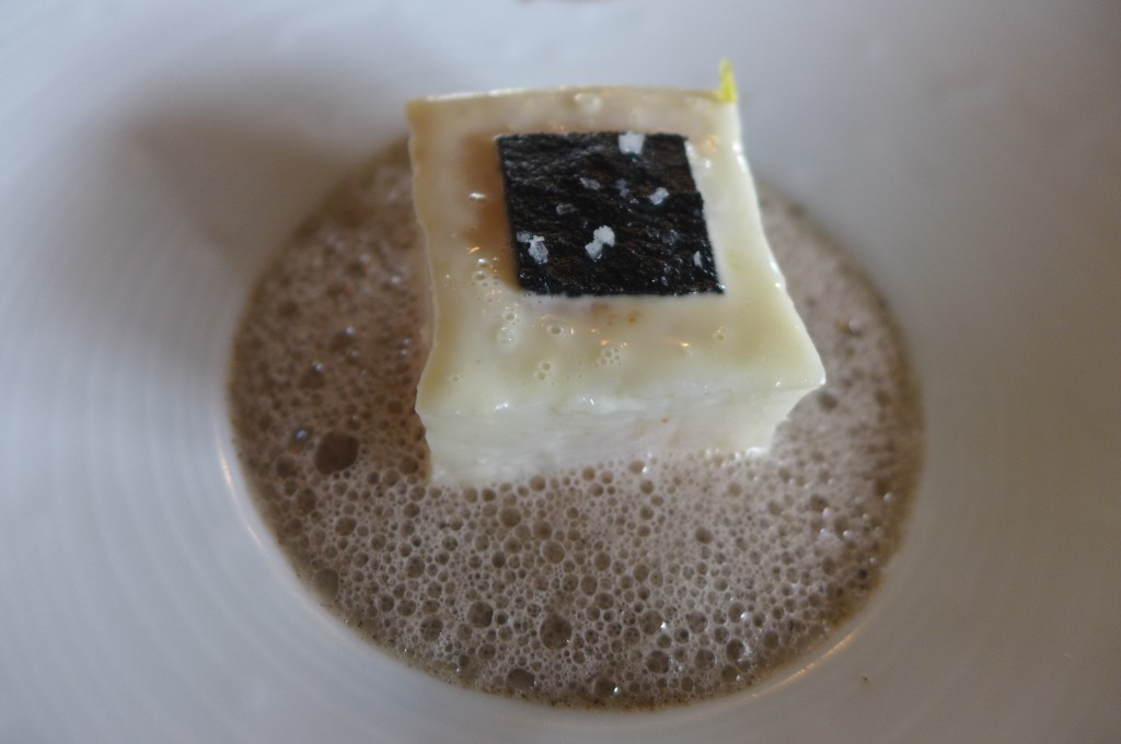 Turbot © GP