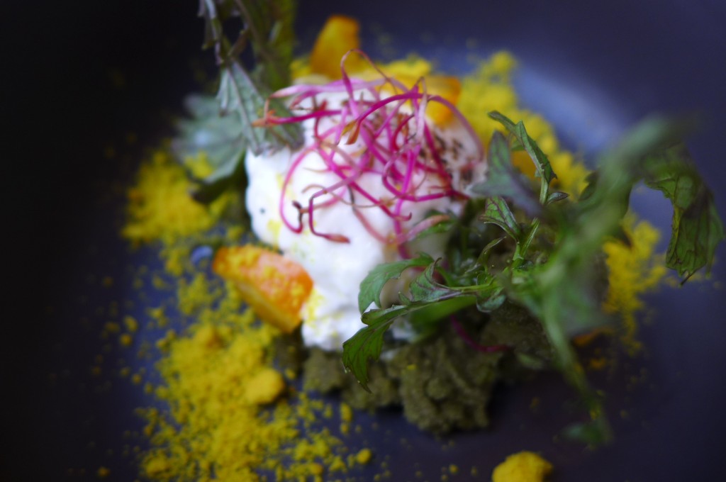 Burrata et glace moutarde © GP