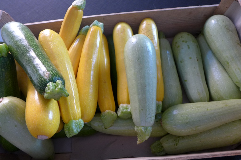 Courgettes du jour © GP