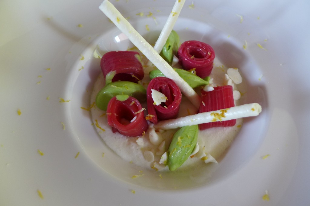 Rhubarbe et menthe © GP
