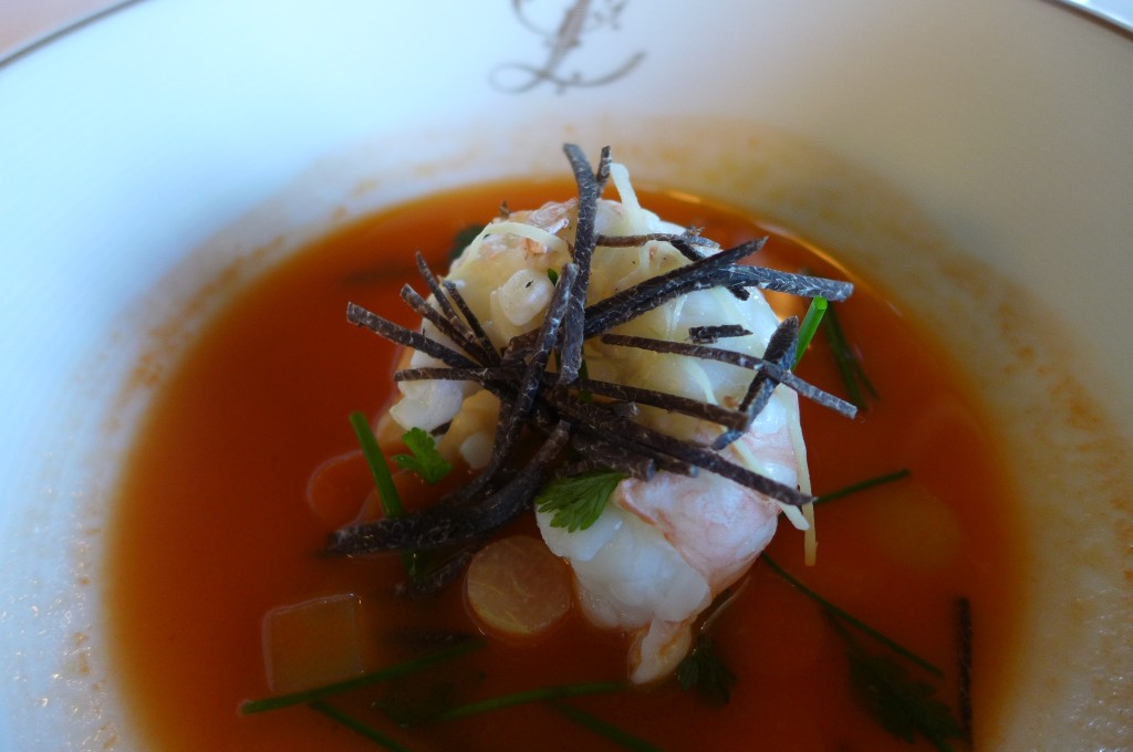 Langoustine à la nage © GP