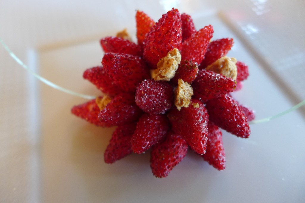 Fraises des bois © GP