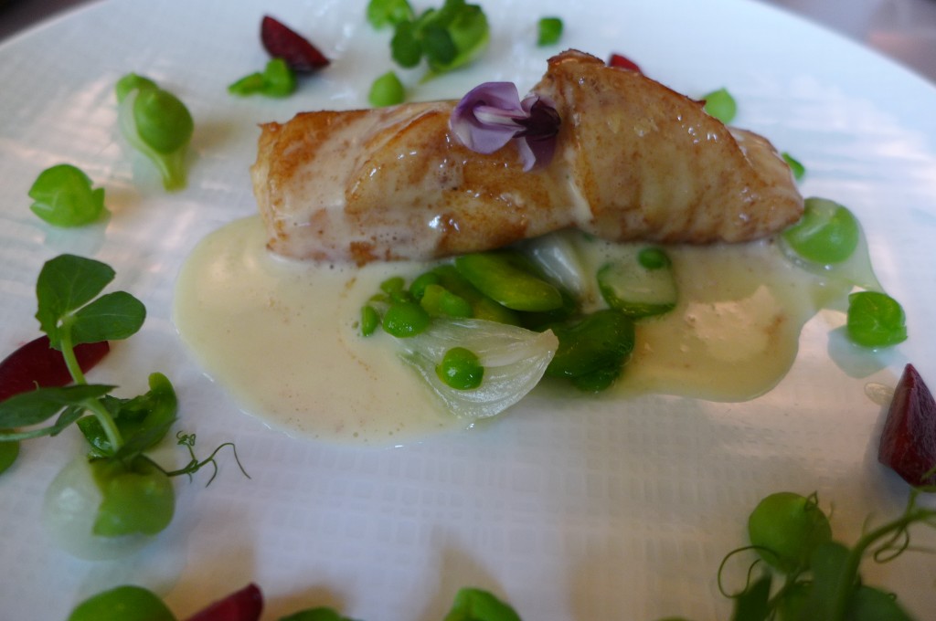 Turbot © GP