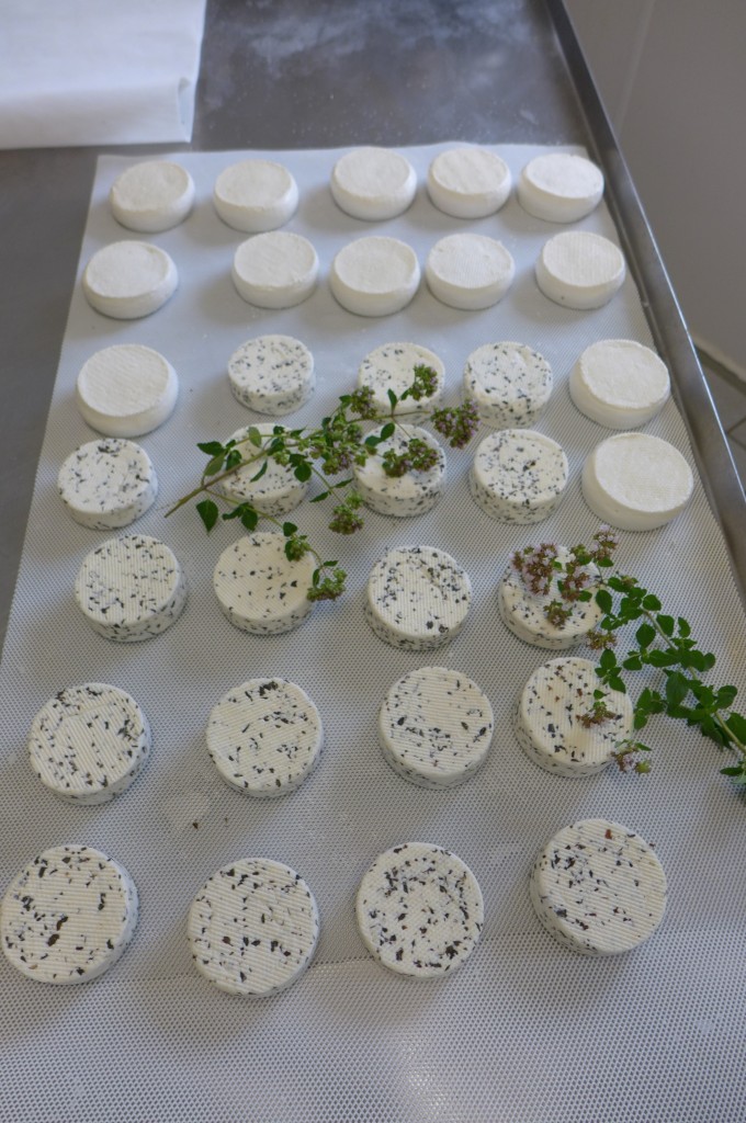 Les fromages © GP