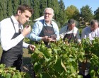 La Celle: la vendange haute couture d&rsquo;Alain Ducasse