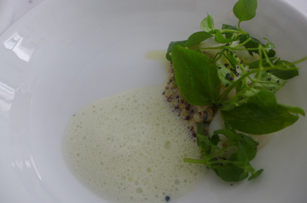 Risotto de quinoa et livèche, avec seiche et coque © GP