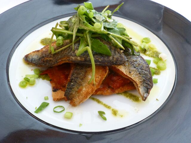Tarte fine de filets de maquereau © DC