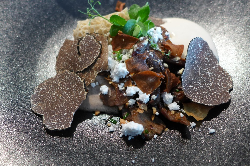 Truffes et champignons © GP