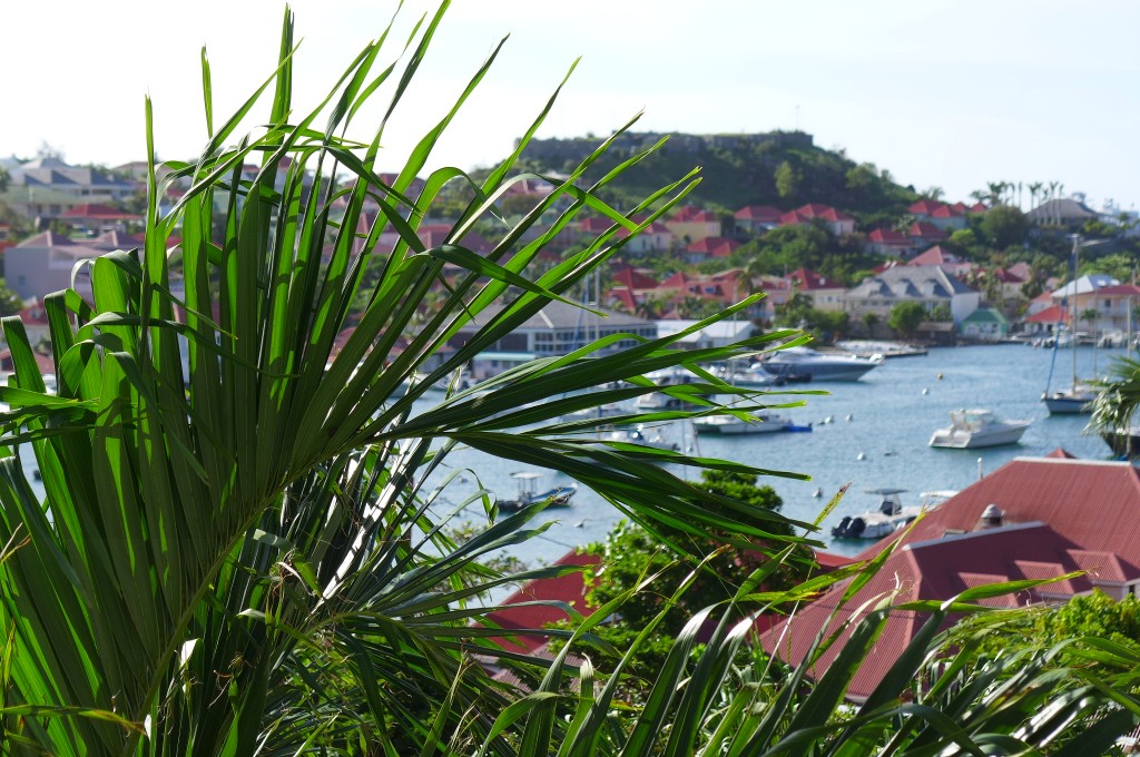 Vue sur Gustavia © GP