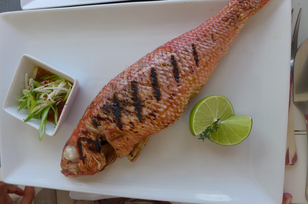 Vivaneau grillé ©