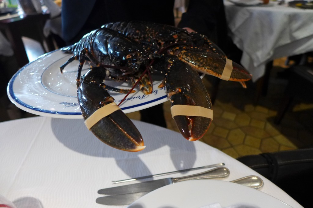 Le homard bleu © GP