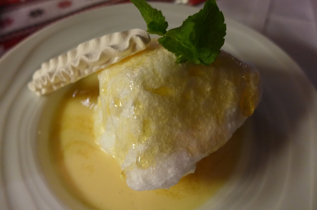 Ile flottante © GP