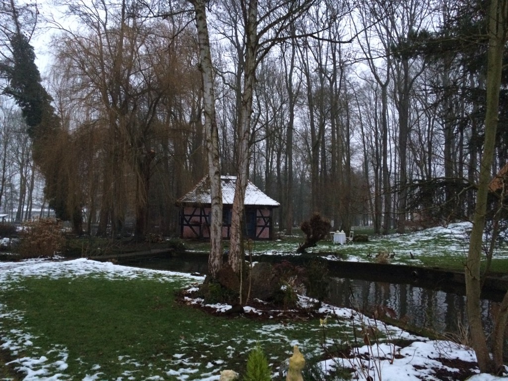 Dans la verdure sous la neige © GP