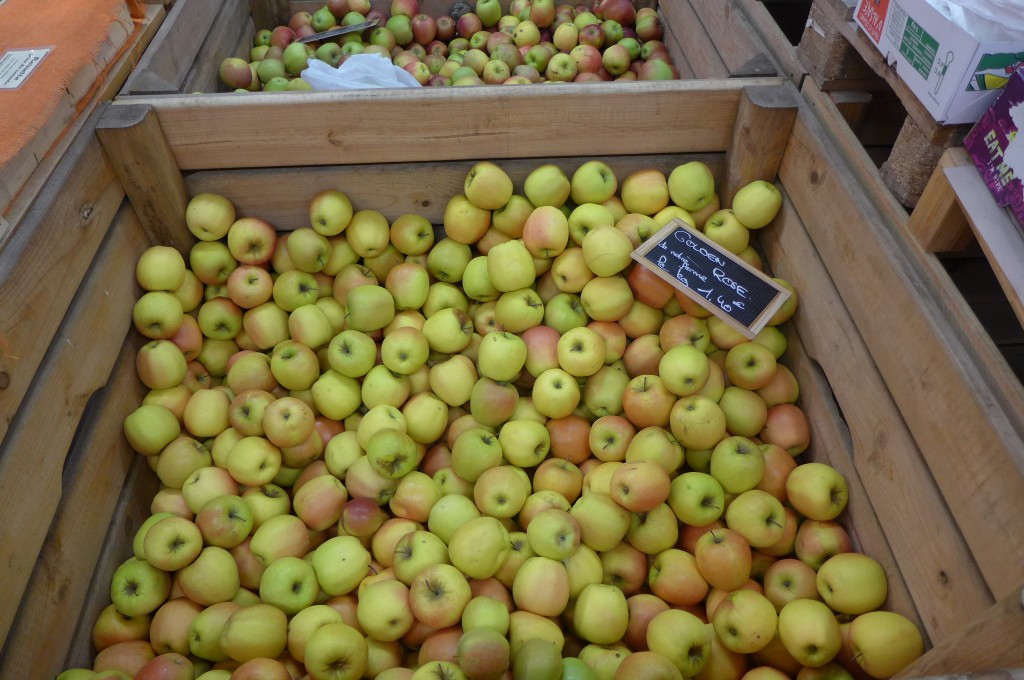 Les pommes Golden Rose © GP