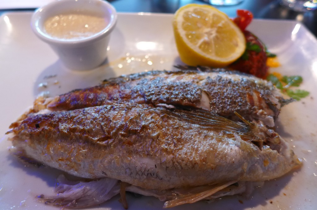 Dorade © GP