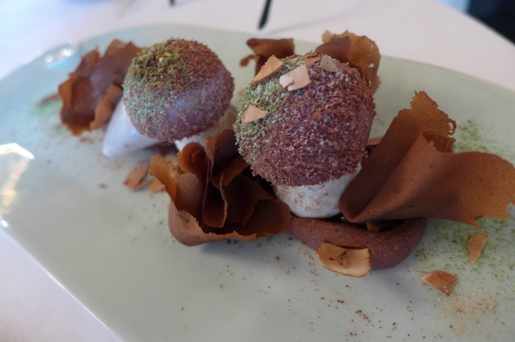 Noisettes, marrons © GP