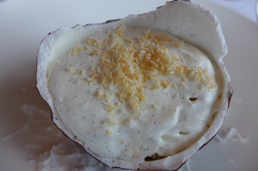 Bogue de noix de coco © GP