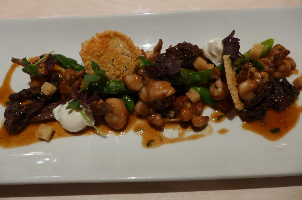 Grenouilles et morilles © GP