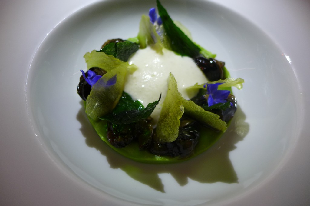 Escargots © GP