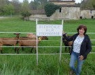 Ferme la Pastourelle - Châteaudouble