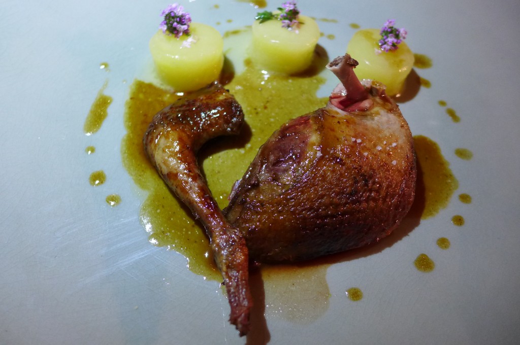 Pigeon © GP