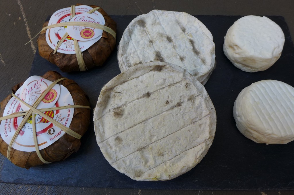 Chèvres de Provence © GP