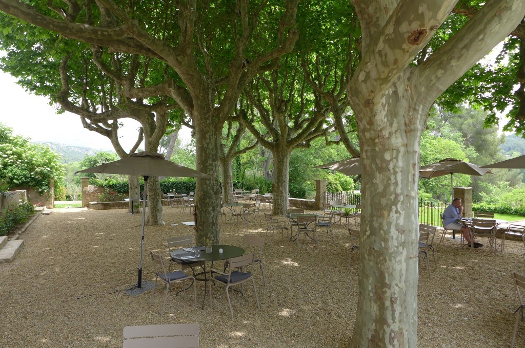 Tables sous les arbres © GP