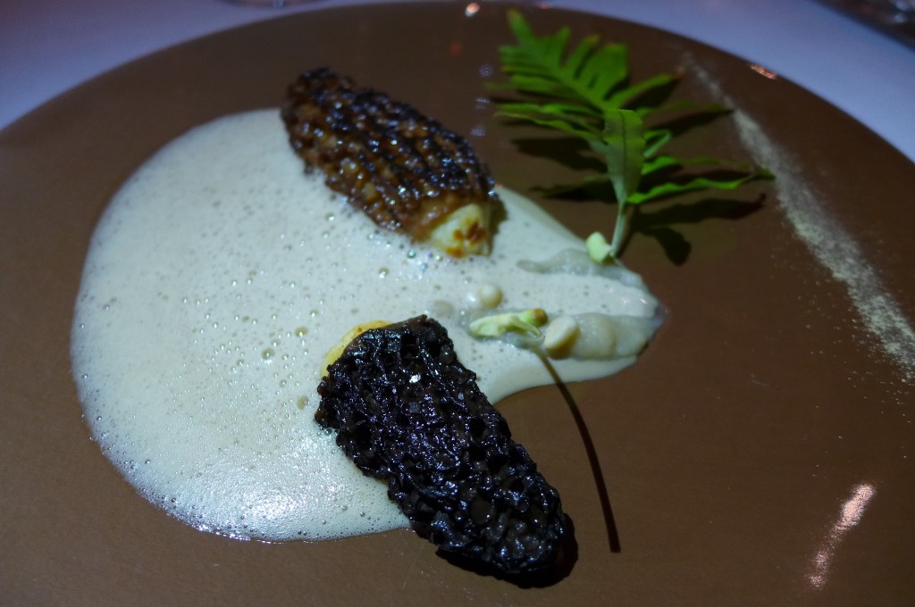 Morille farcie comme un boudin blanc © GP