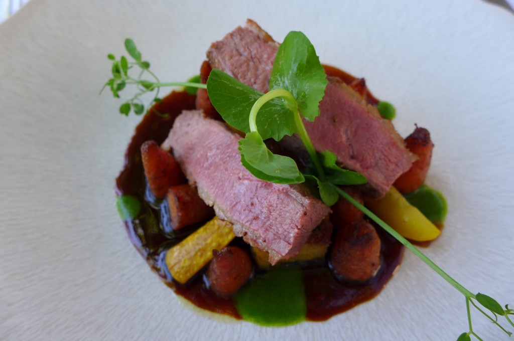 Magret de canard au vinaigre de miel © GP