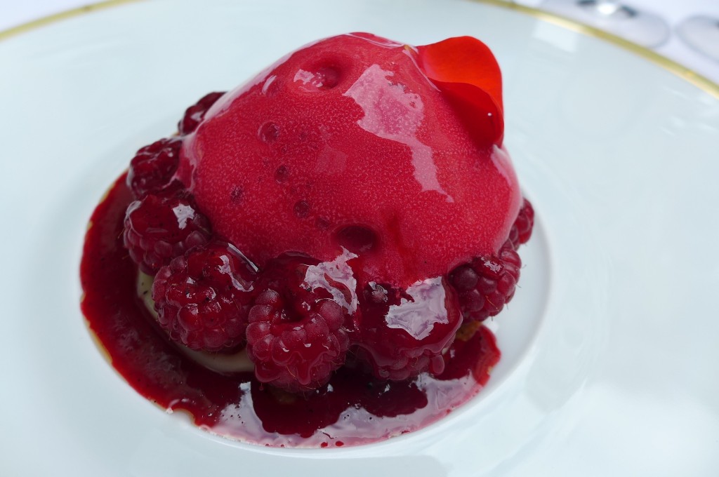 Framboise et hibiscus © GP