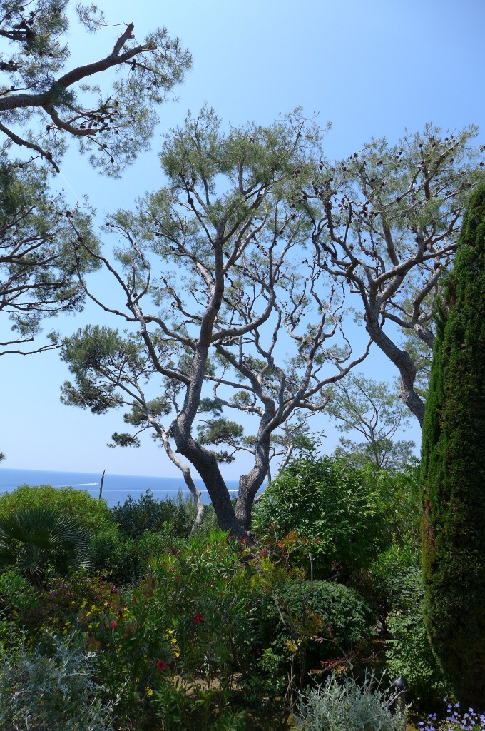 Le parc menant vers la mer © GP